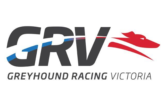 Greyhound Racing Victoria